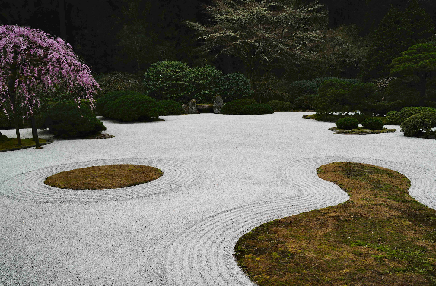 Sakura Driver Headcover