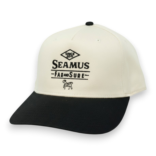 🎁 Vintage Far and Sure Two-Tone Hat (100% off)