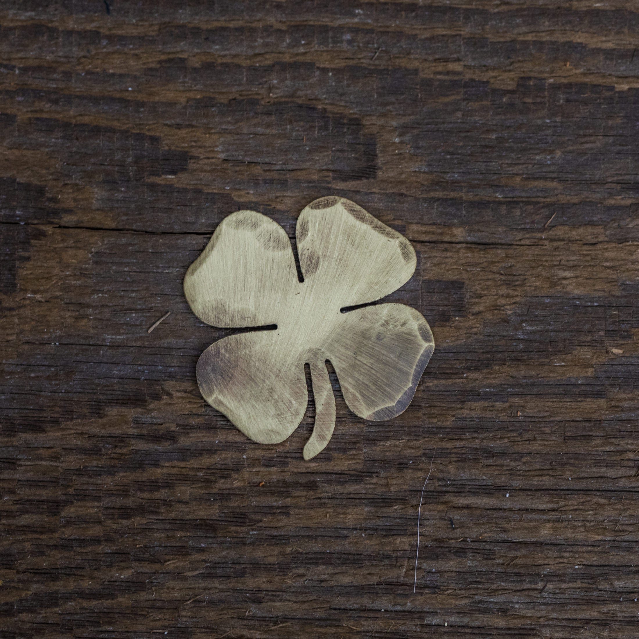Hand Forge Customizable Bronze Limerick Ball Marker | Seamus Golf | 2